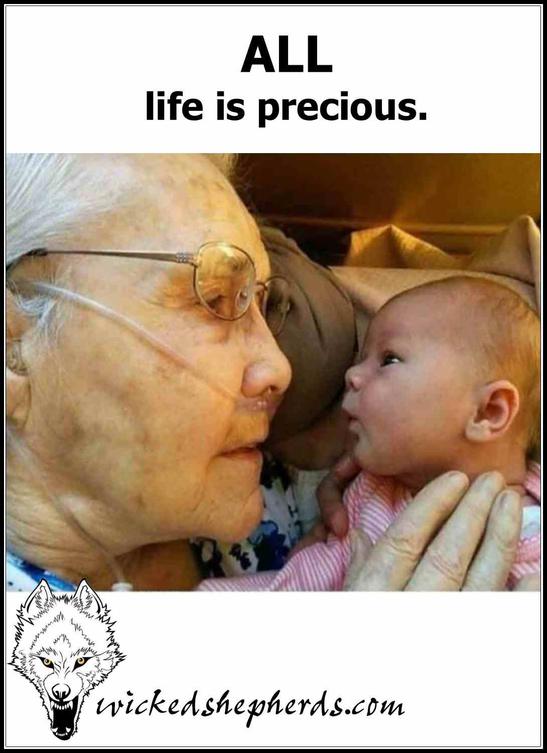 All life is precious