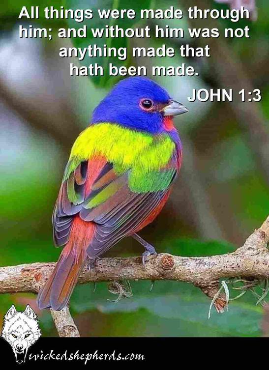 All things were made through him