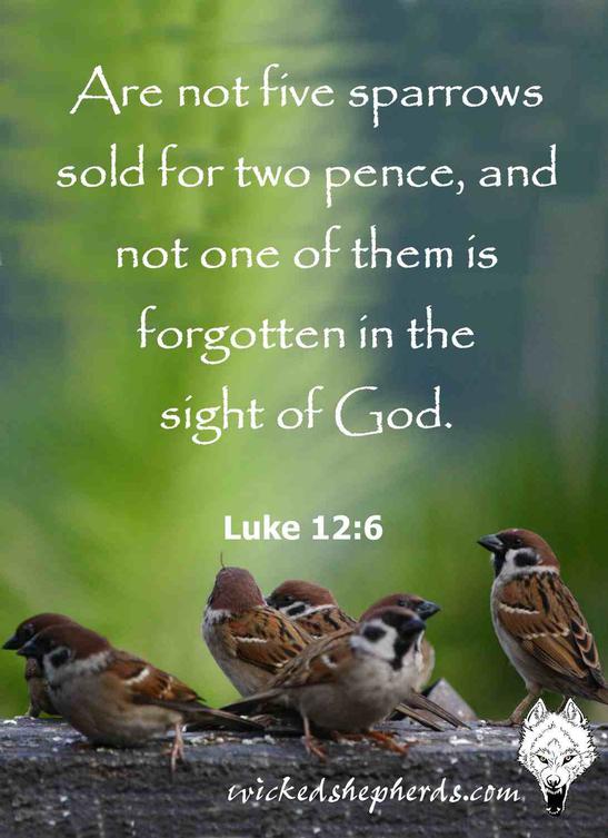 Are not five sparrows sold for two pence