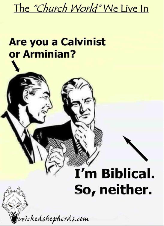 Are you a Calvinist or Arminian