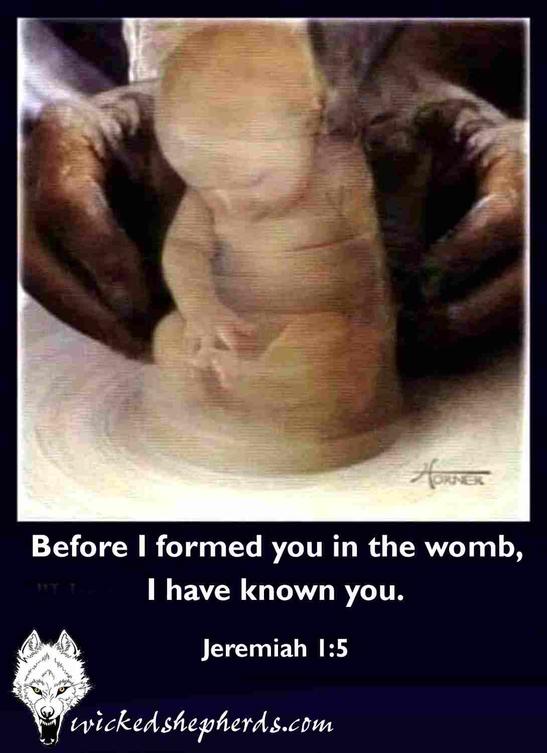 Before I formed you in the womb