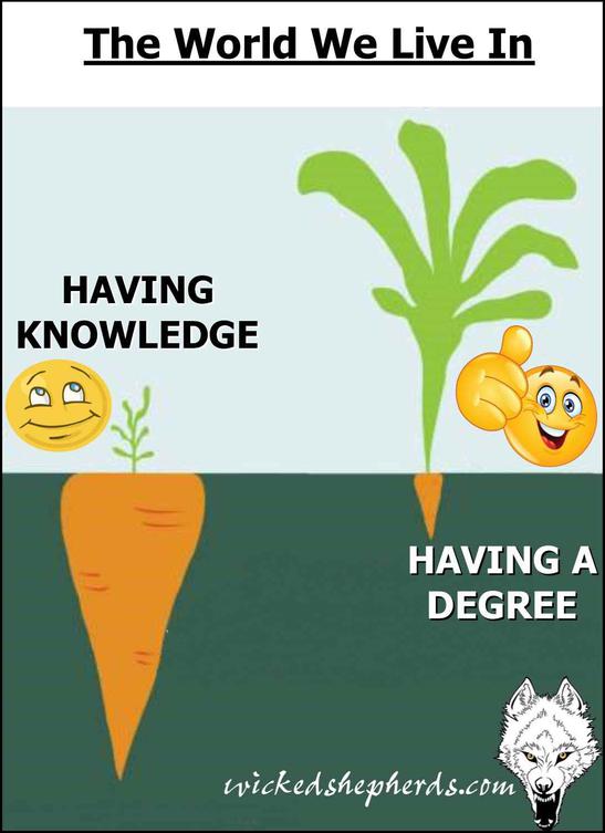 Having a degree or having knowledge