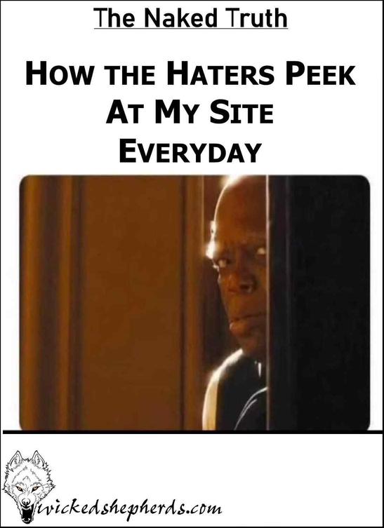 How the haters peek at my site everyday