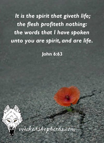 It is the spirit that give life, the flesh profits nothing