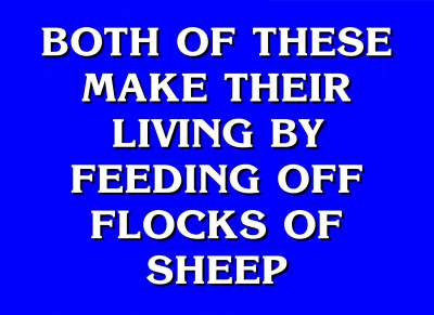 Wicked Shepherds - Jeopardy Answer