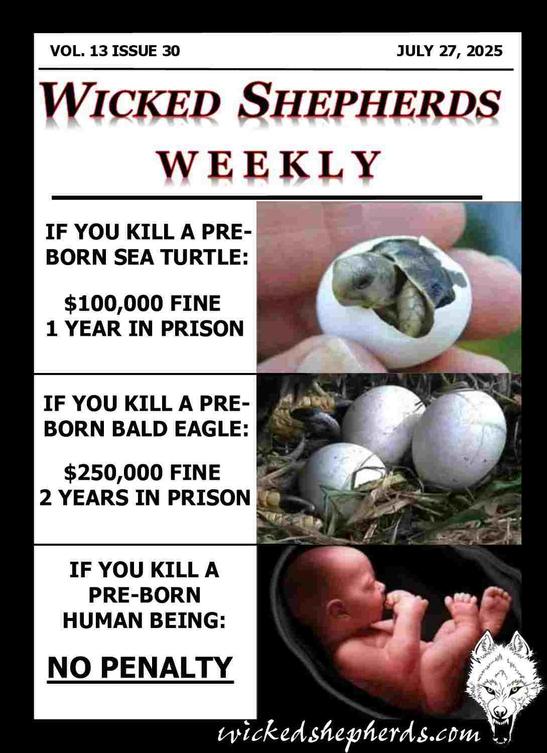 Killing a Pre-Born