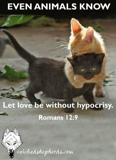 Let love be without hypocrisy