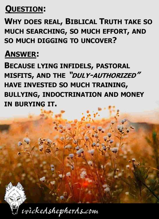 Pastoral misfits and the duly authorized