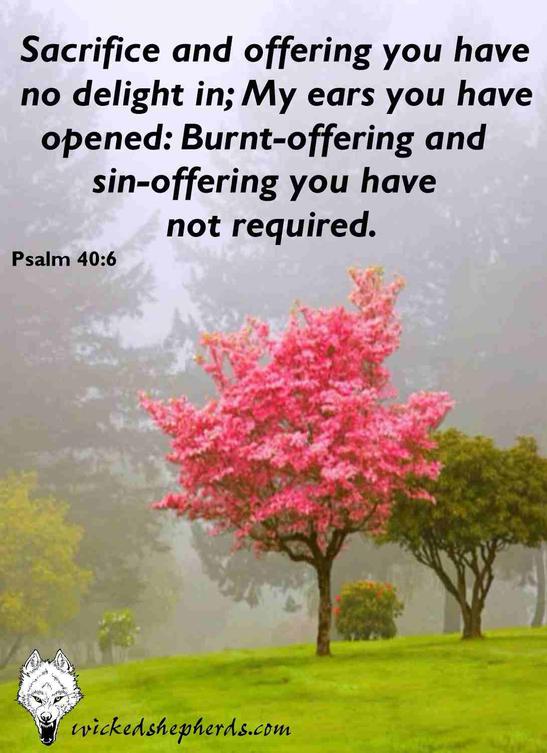 Sacrifice and offering you have no delight in