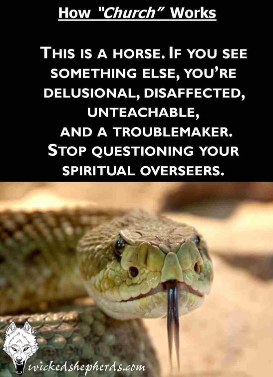 Stop questioning your spiritual overseers