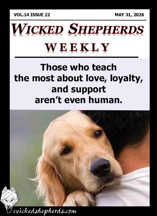 Teaching about love and loyalty