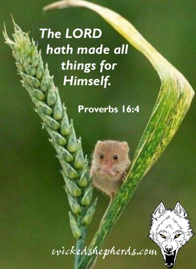 The Lord hath made all things for Himself