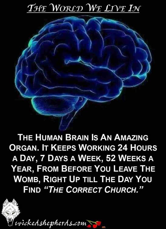 The human brain and going to church
