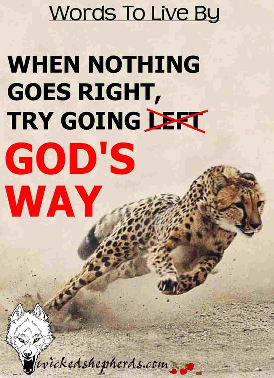 When nothing goes right
